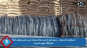 استقرار الأسعار.. سعر طن الحديد والأسمنت في مصر يشهد ثباتًا ملحوظًا اليوم السبت